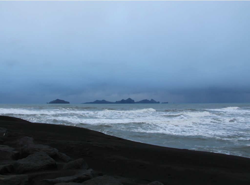 A landscape of black sands beach in Iceland.