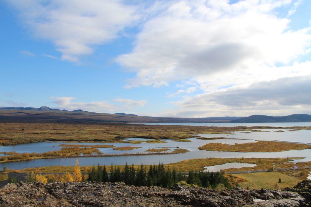 A landscape of Iceland with trees, mountains and water ways against a big sky.