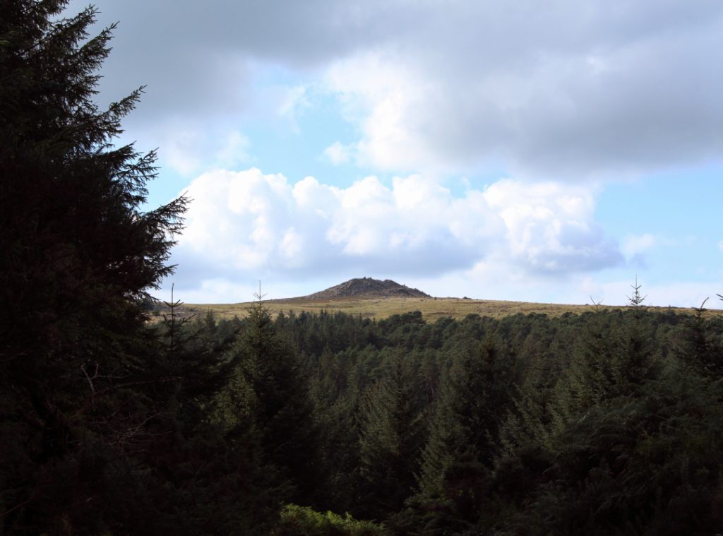 A forest landscape with a tor in the background against a dramatic cloudy sky.