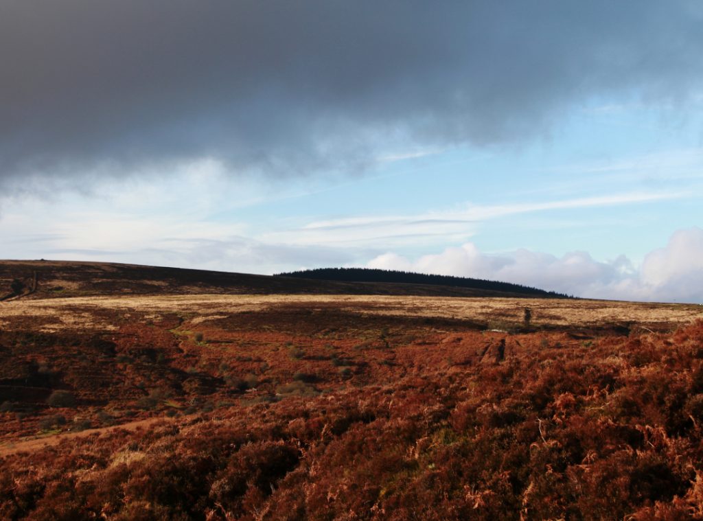 A moody landscape of the moors.