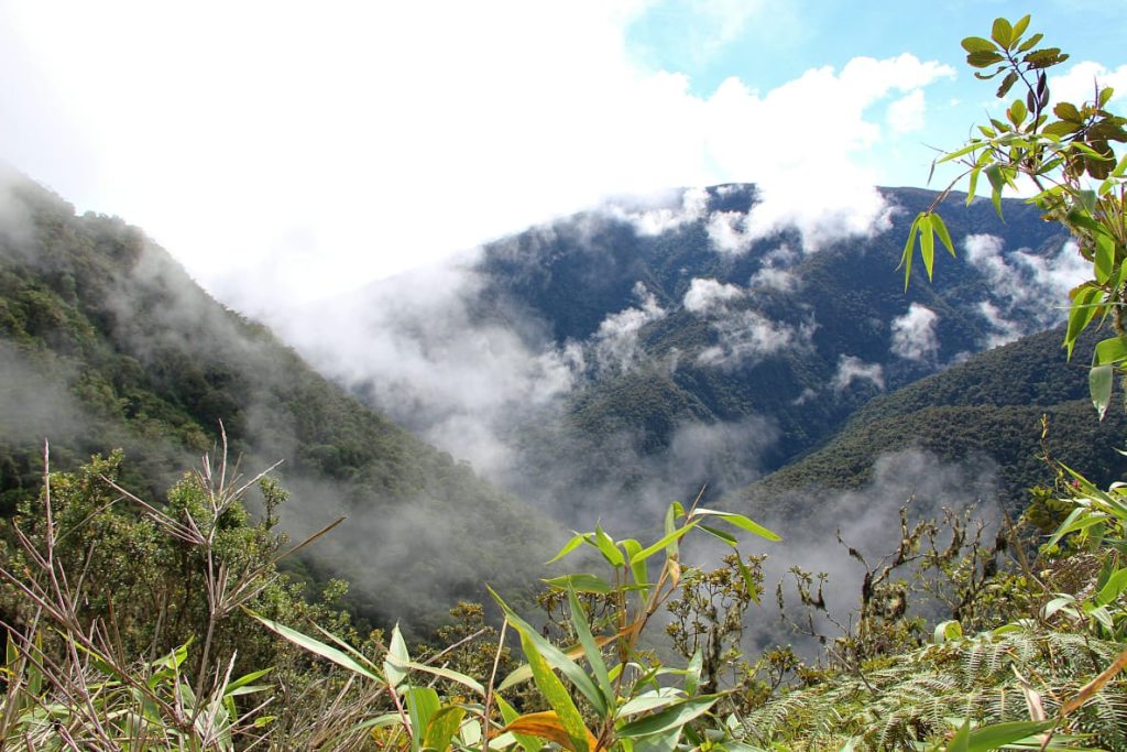 A landscape of a cloud forest with low lying cloud against mountains.