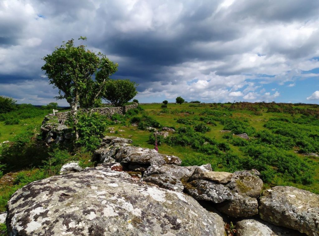 A landscape with trees, clouds and an old rock wall with granite stones.